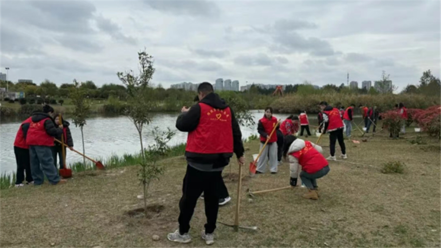 植此新绿，共“树”未来——william威廉英国官网集团开展志愿植树活动